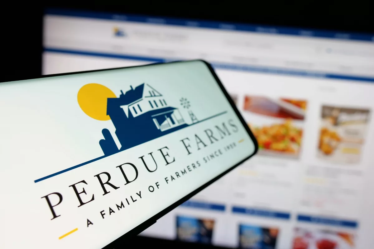 Adobe Express - file - 2025-09-10T084010.614.jpg